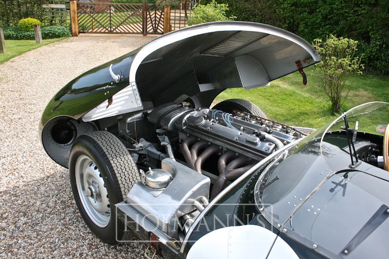 Jaguar D Type Long Nose by Proteus - Hofmanns