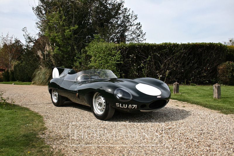 Jaguar D Type Long Nose by Proteus - Hofmanns