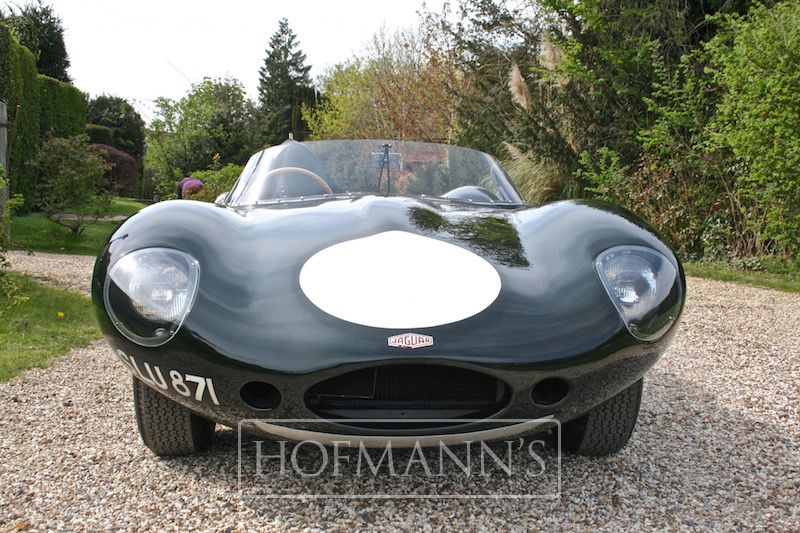 Jaguar D Type Long Nose by Proteus - Hofmanns