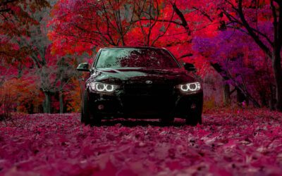 Let’s talk about BMW