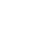 icon car sales wht