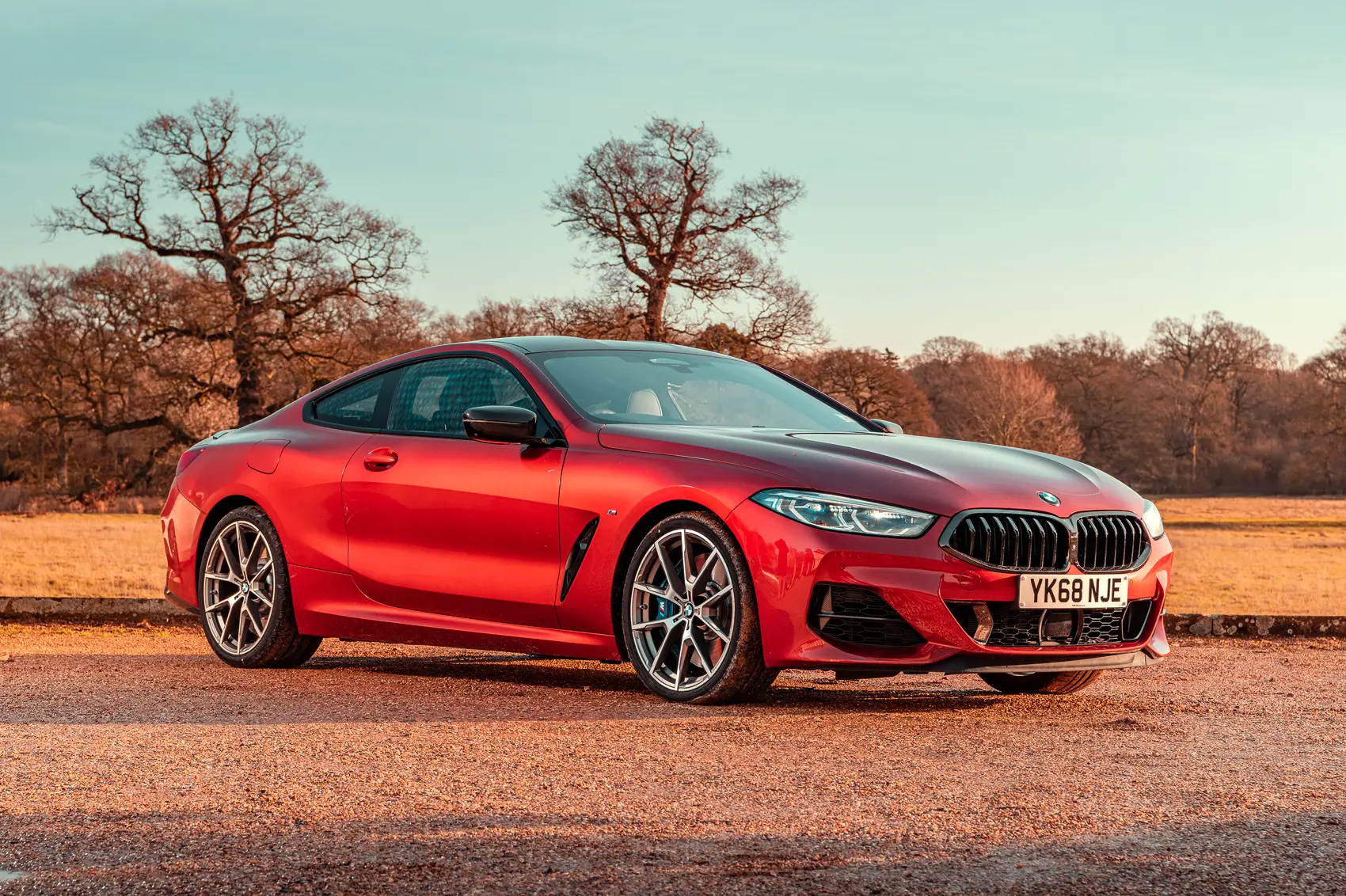 BMW 8 Series