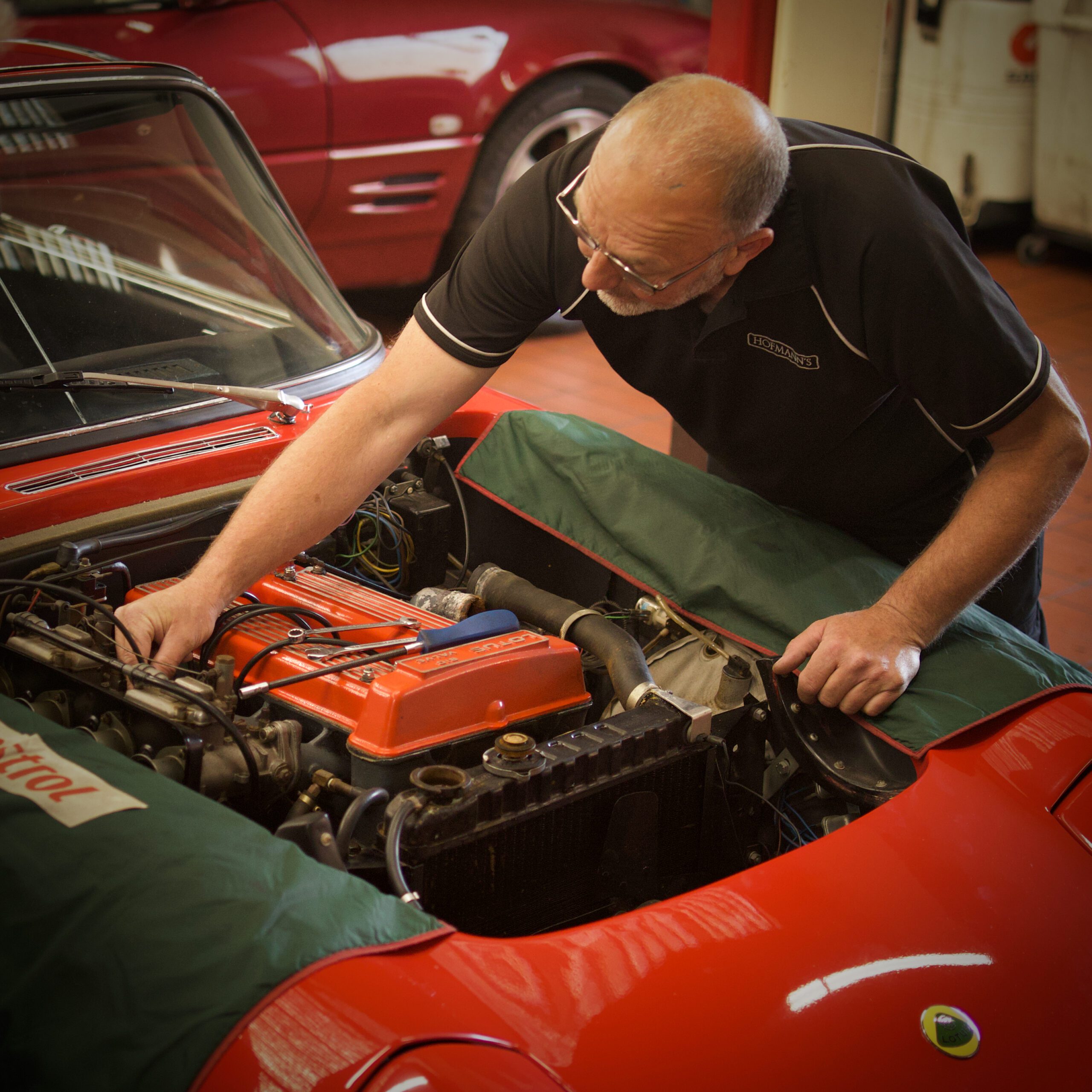 Lotus MOTsmall Lotus MOTsmall