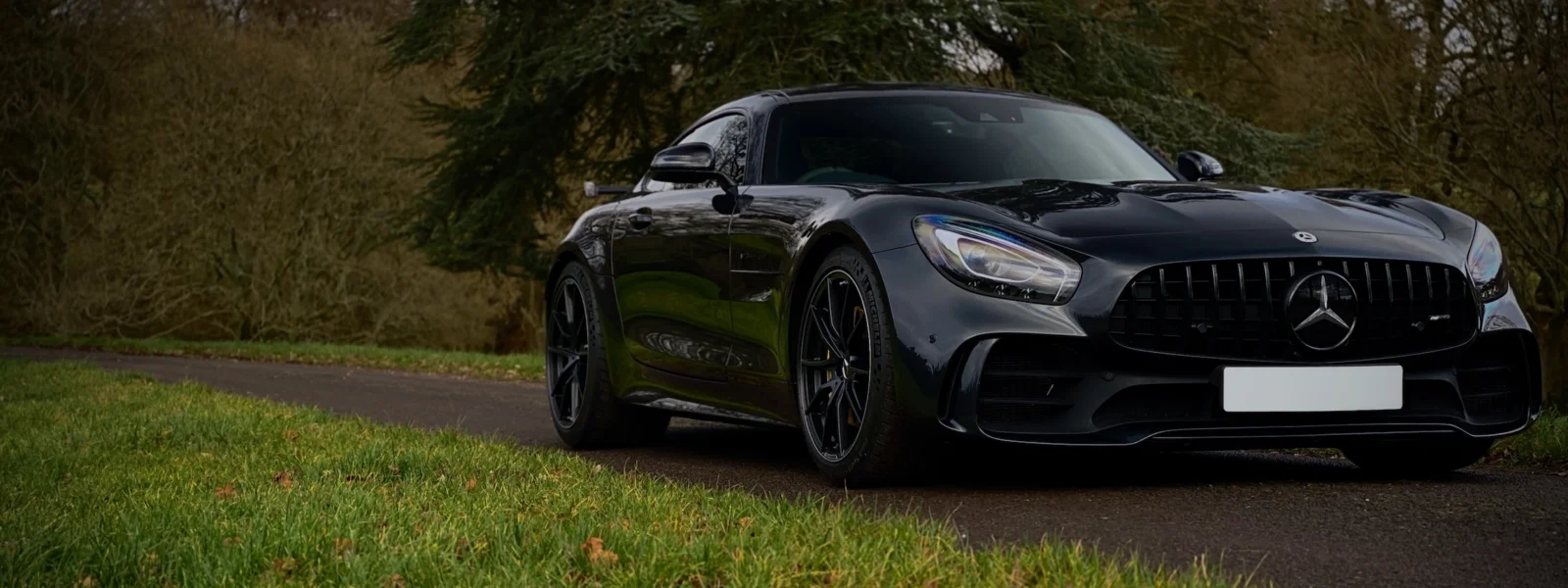 AMG_Sales_Header-1
