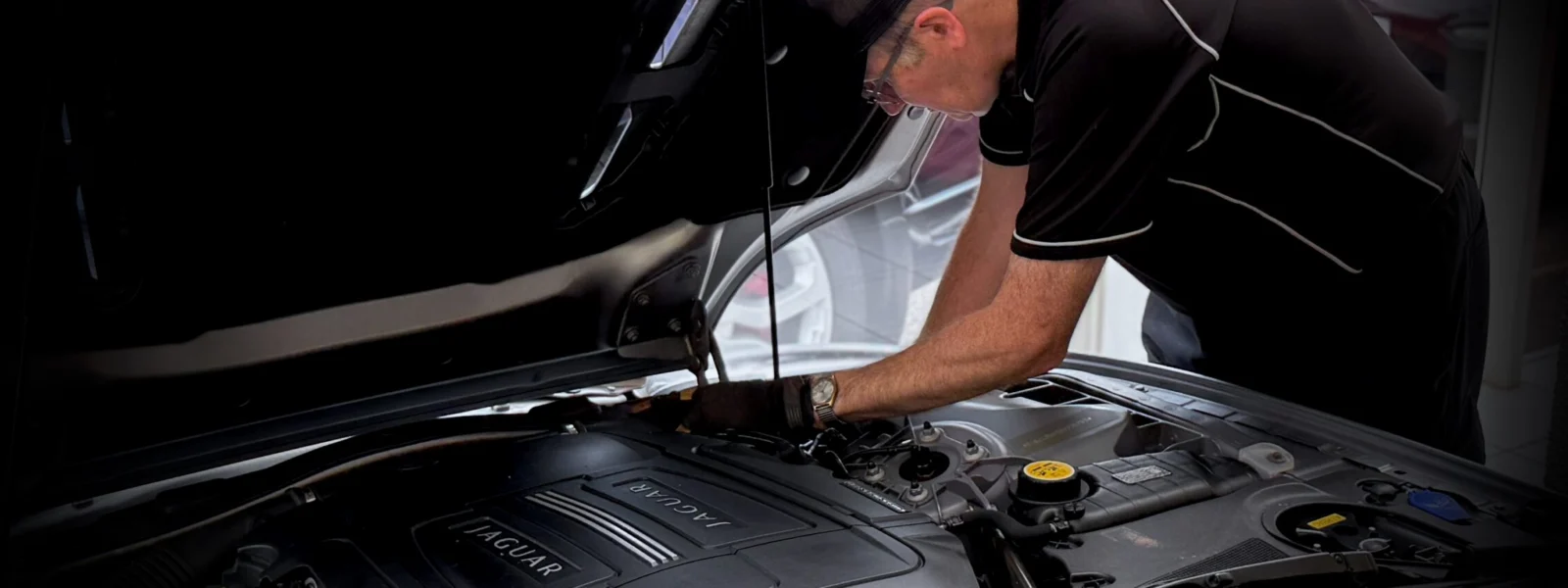 Jaguar Header 1 scaled 1